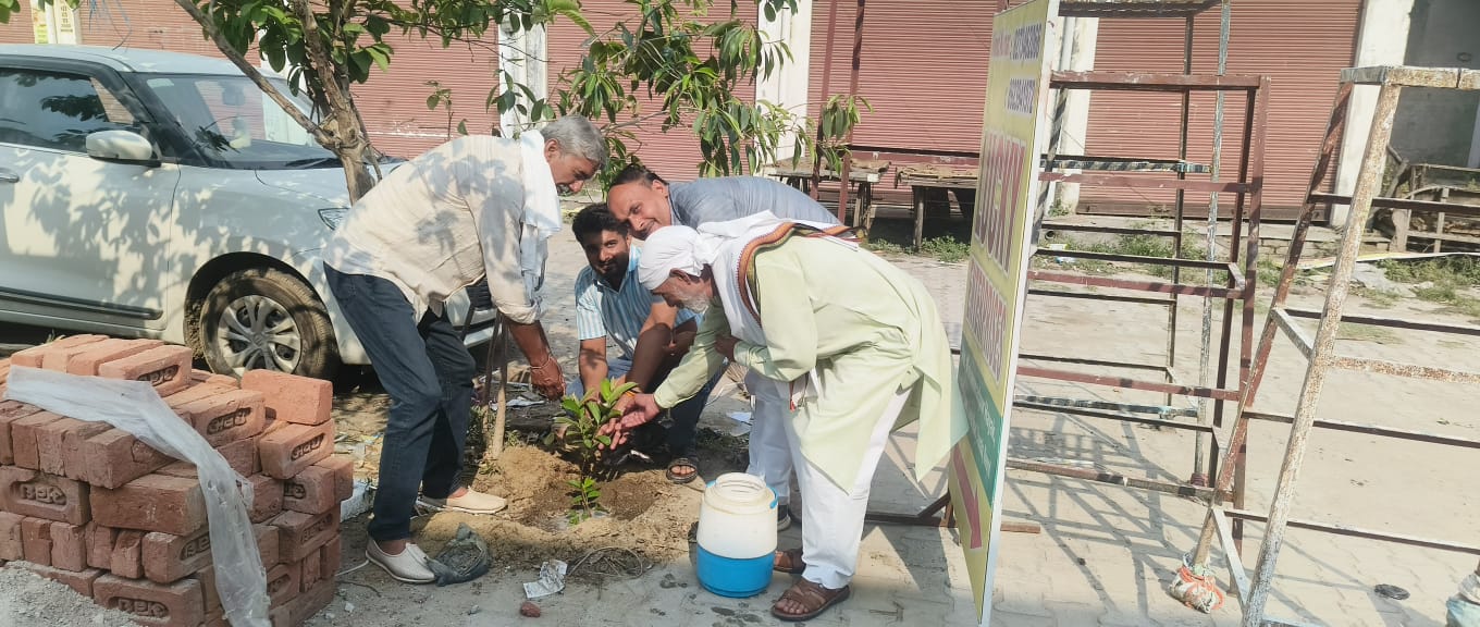 Nurturing Nature: Tree Plantation Initiative in Daurala by Brahmvikas Foundation.
